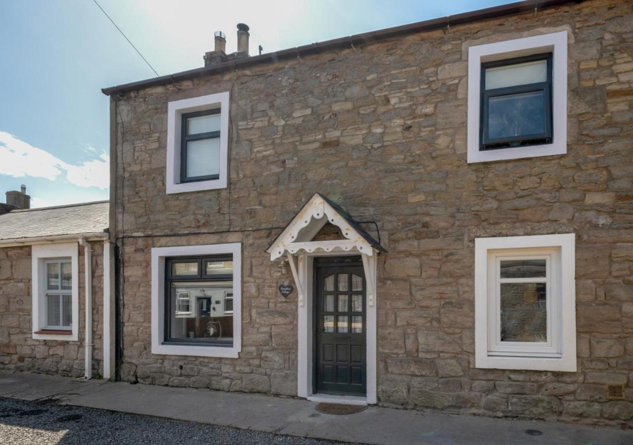 Samphire Cottage Seahouses Dış mekan fotoğraf